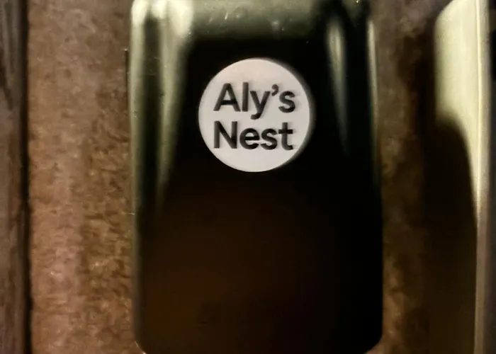 Daire Alysnest *